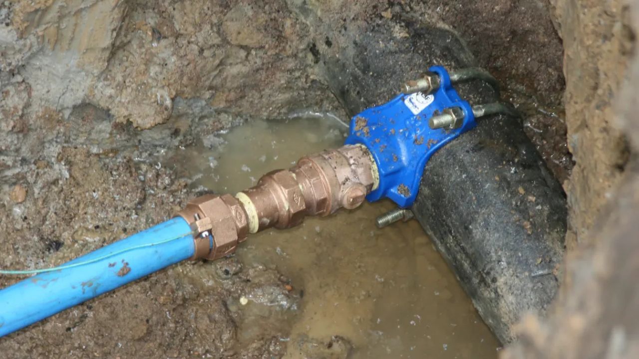 How Digital Self-Reporting Lead Forms Streamline Inventories